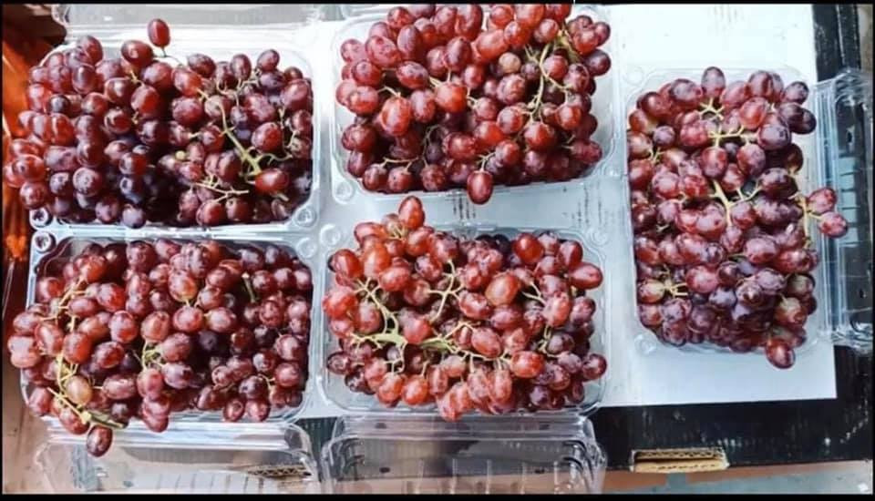 Chị Đỗ Duyên (chuyên bán hoa quả ở Thanh Trì, Hà Nội) bán nho quanh năm, hầu như loại nào cũng có như: nho sữa, nho ngón tay, nho bắp đen, nho đỏ,... song, nho đỏ kẹo mới bán được khoảng 2 tuần nay.