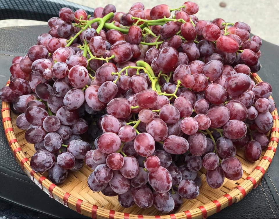 Nhiều tiểu thương chỉ quảng cáo là nho đỏ kẹo không hạt, giòn tan còn một vài tiểu thương khẳng định đó là hàng nội địa Trung Quốc.