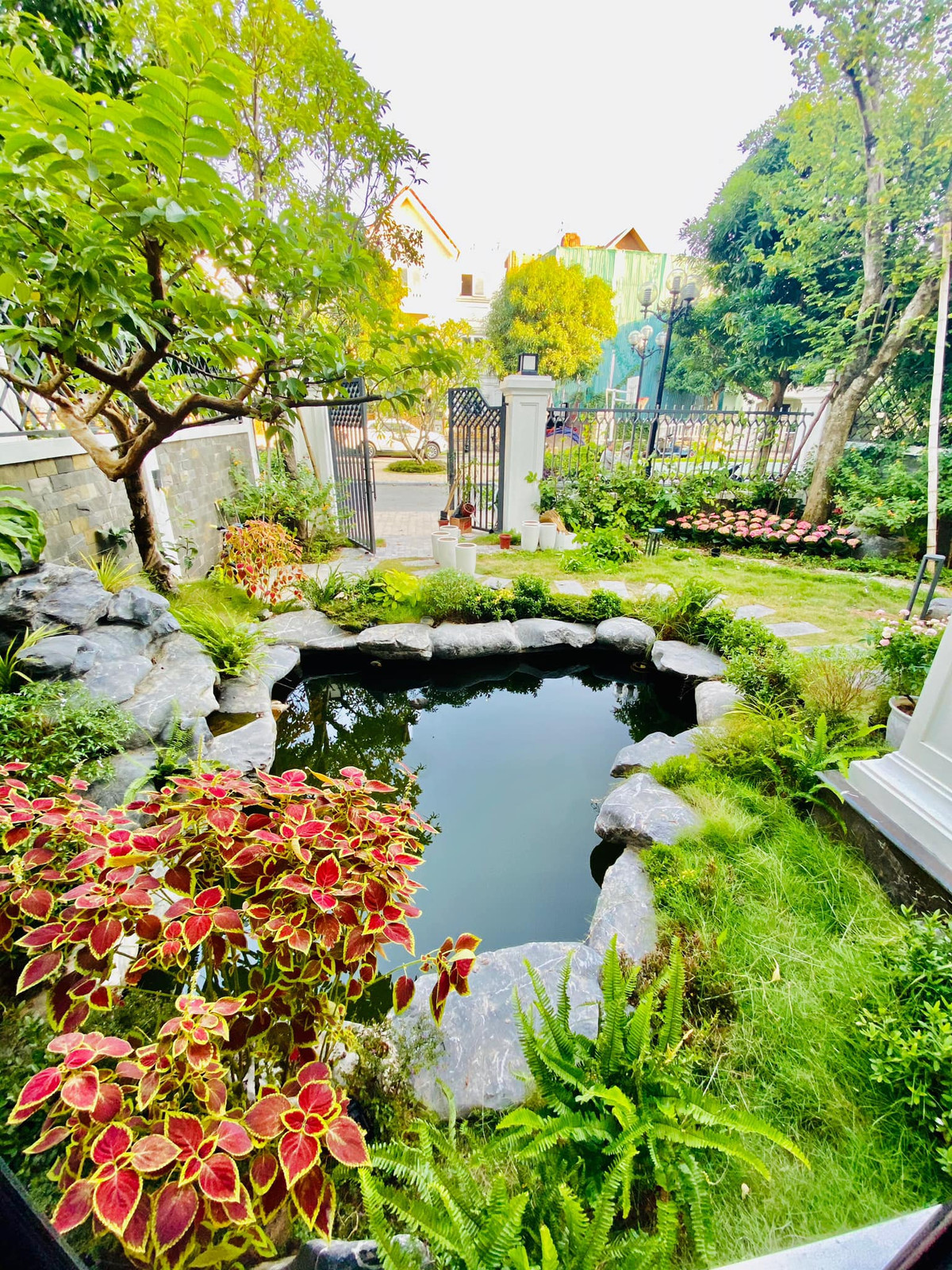 Hồ cá tạo cảnh quan đẹp mắt.