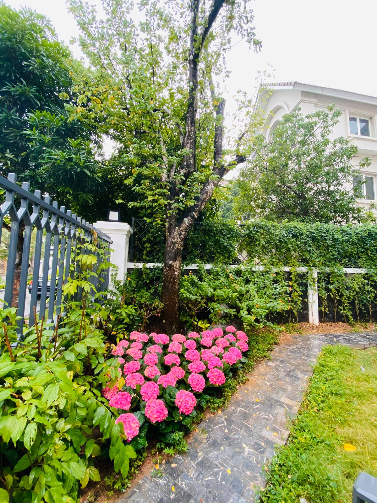 Đặc biệt nhất là khu vườn ngập tràn màu sắc được Lã Thanh Huyền tự tay chăm chút tỉ mỉỉ.