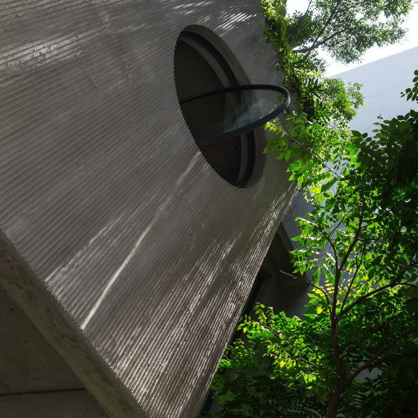 Nhờ hệ thống tưới nước tự động, gia chủ đỡ công chăm sóc mà vẫn giữ được không gian xanh trong nhà.