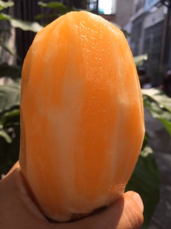 Sâm đất Lào Cai có giá bán từ 15.000 - 30.000 đồng/kg. Củ sâm đất có ruột vàng nhạt hoặc trắng trong. Khi ăn sẽ có hương vị như nhân sâm, giòn, ngọt, mát.