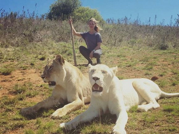 Theo Fox Business, sau khi cưới Melissa, con trai ông Joe tập trung phát triển sự nghiệp chính trị và ủng hộ bố hết sức trong cuộc đua tranh cử Tổng thống Mỹ.