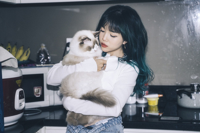 Hot streamer Linh Ngọc Đàm cũng sở hữu quán cà phê mèo với thiết kế vô cùng xa hoa. Tuy không tiết lộ cụ thể chi phí đầu tư quán nhưng cô cho biết con số là vô cùng lớn. Ảnh: Internet.