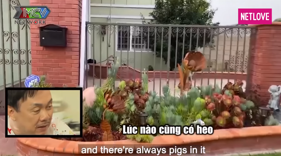 Ngôi nhà của Chí Tài và vợ khá xinh xắn, có khuôn viên rộng rãi với màu xanh là chủ đạo. Ảnh: Netlove