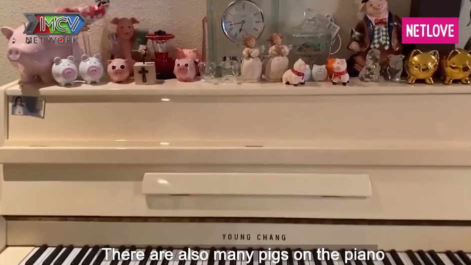 Nghệ sĩ Chí Tài biết vợ thích gấu bông hình chú heo nên đã mang rất nhiều gấu bông từ Việt Nam về cho vợ của mình. Ảnh: Netlove