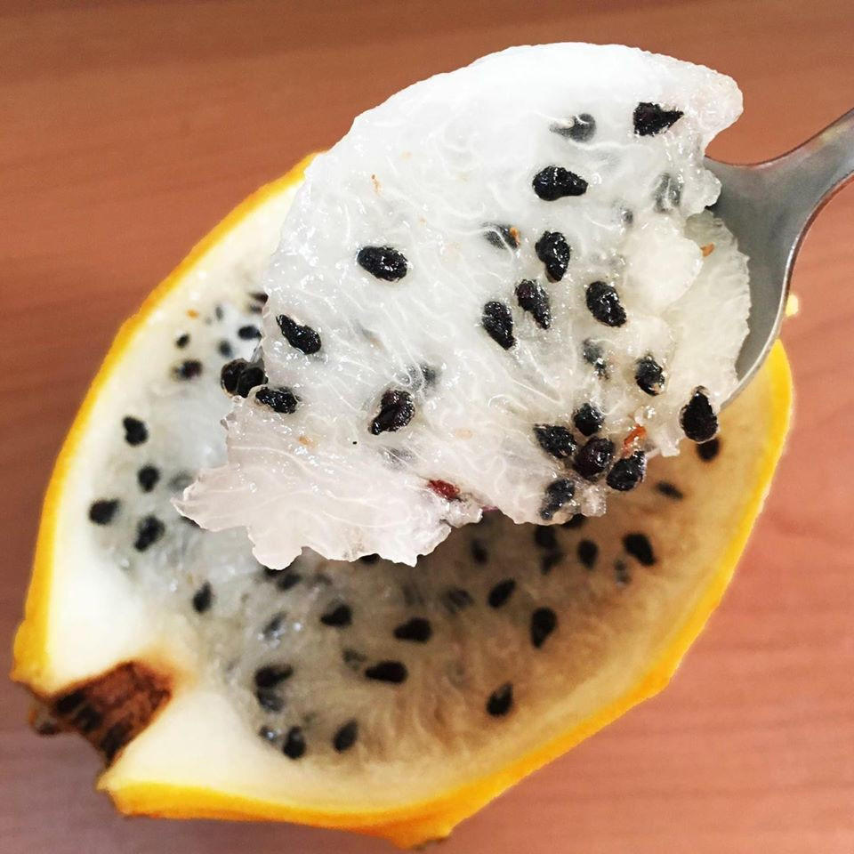 Thanh long vàng có vị ngọt thanh, không ngán. Ảnh: Mia Fruit.