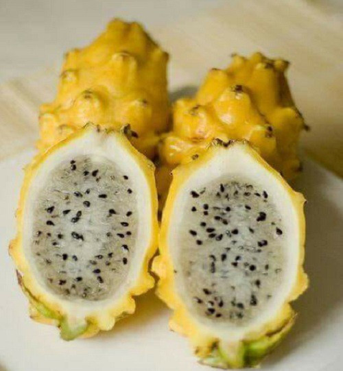 Thậm chí, nhiều khách phải đặt trước cả tuần mới có hàng. Ảnh: Halafruit.