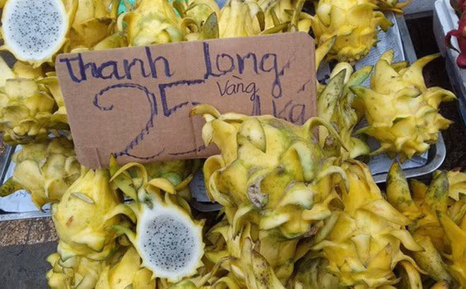Người bán cho biết, thời gian gần đây mới có thanh long vỏ vàng với giá 25.000 - 30.000 đồng/kg. Ảnh: Người lao động.