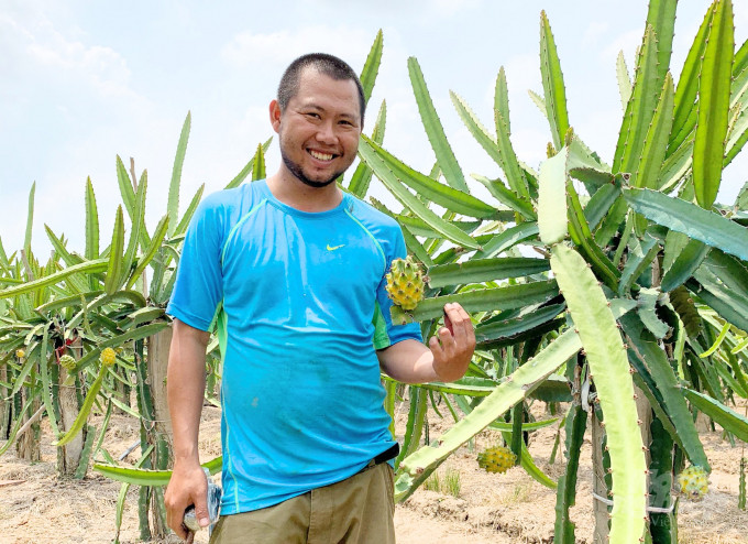 Sau đó, một số nhà vườn trong nước trồng thử thành công và bán giá 200.000 đồng/kg. Ảnh: Nongnghiep.