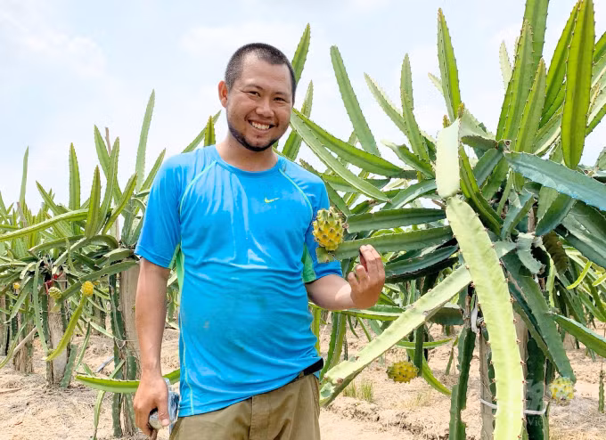 Sau đó, một số nhà vườn trong nước trồng thử thành công và bán giá 200.000 đồng/kg. Ảnh: Nongnghiep.