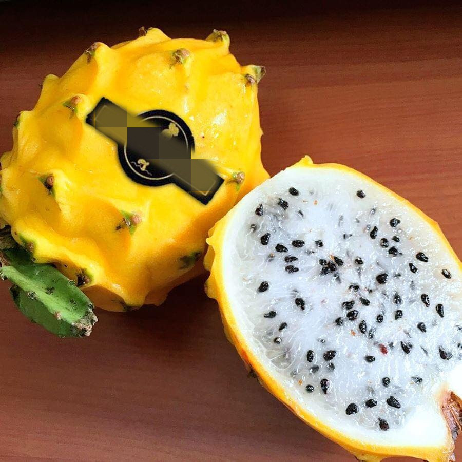 Khi quả chín, gai nhọn trên quả rụng đi hết. Trọng lượng trái thanh long vàng đạt khoảng 250 gram. Ảnh: Mia Fruit.