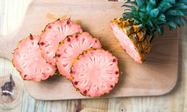 Dự án này khởi động năm 2005, được Cục quản lý Thực phẩm và Dược phẩm Mỹ phê duyệt năm 2016, và mất thêm 4 năm để có thể hoàn thiện. Loại dứa này được đặt tên là Pinkglow.