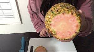 Không chỉ có màu sắc lạ mắt, những quả dứa ruột hồng còn có mùi vị ngọt đậm hơn thông thường, có mùi thơm như kẹo bông.