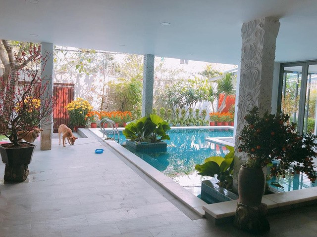 Bể bơi xanh mát, được trang trí cây xanh.