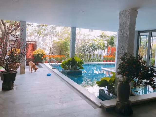 Bể bơi xanh mát, được trang trí cây xanh.