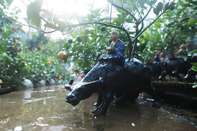 Một số nhà vườn còn có khách đặt gần hết từ đầu tháng 10 âm lịch. Ảnh: Dân Việt.