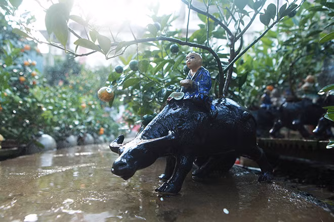 Một số nhà vườn còn có khách đặt gần hết từ đầu tháng 10 âm lịch. Ảnh: Dân Việt.