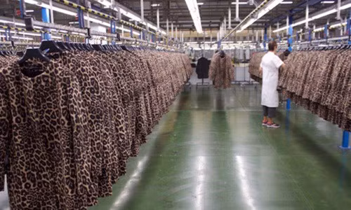 Các nhà máy sản xuất của Zara đặt tại Arteixo, một thị trấn nhỏ bên bờ biển phía tây bắc của Tây Ban Nha là nơi sản xuất trang phục và phụ kiện đến hơn 2.000 cửa hàng Zara toàn cầu.