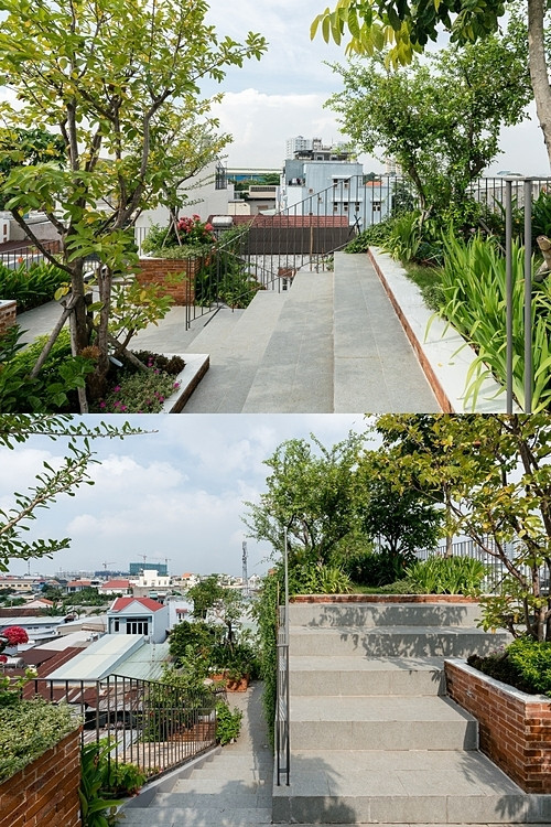 Ngoài các loại cây ăn quả như khế, đào, mận, ổi, chanh, xoài, cóc...khu vườn trên mái còn trồng cây hoa như bằng lăng tím, nhài, hoàng lan...Ảnh: Quang Trần.