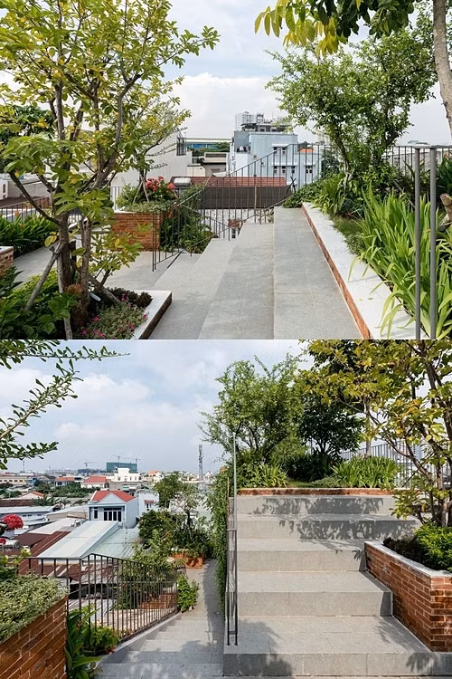 Ngoài các loại cây ăn quả như khế, đào, mận, ổi, chanh, xoài, cóc...khu vườn trên mái còn trồng cây hoa như bằng lăng tím, nhài, hoàng lan...Ảnh: Quang Trần.