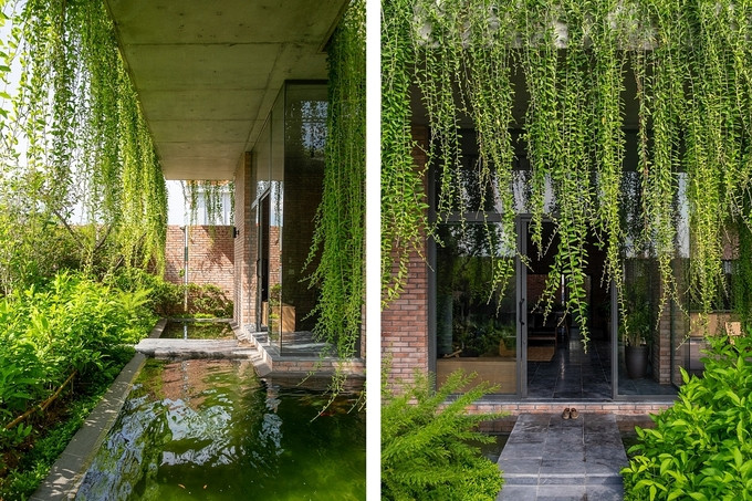 Lớp cây xanh gồm nhiều loại cây khác nhau, từ cây bóng mát, cây bụi đến cây rủ bao phủ căn nhà, giúp ngăn bụi và tiếng ồn từ đường phố. Ảnh: Đức Nguyễn.