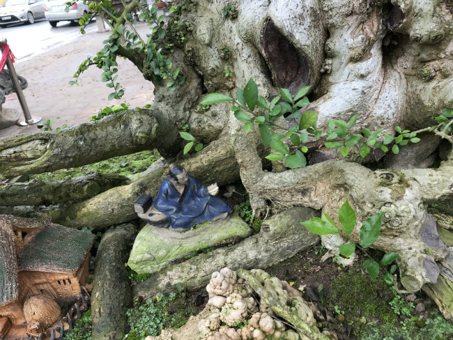 Bộ rễ và tay cành của cây được giới sành chơi cây cảnh đánh giá là báu vật. Ảnh: Dân Việt.