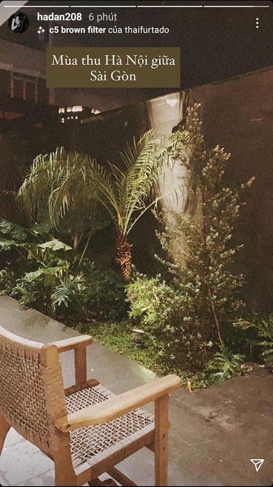 Mọi góc trong nhà được điểm xuyết nhiều cây xanh.