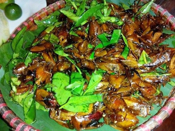 Bọ xít có thể chế thành nhiều món nhưng phổ biến nhất là bọ xít rang lá chanh. 