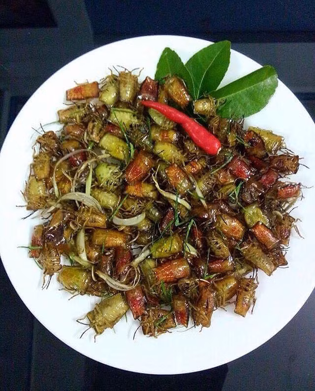 Vào mùa, bọ xít được các đầu mối lùng mua rất nhiều, gây sốt trên khắp trang mạng xã hội. Bởi thế mà nhiều người dân ở Sơn La đi bắt và bán đặc sản quê hương kiếm thêm thu nhập.