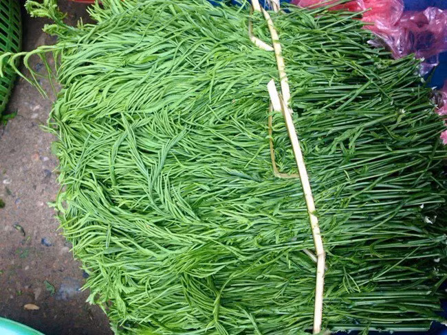 Đúng như tên gọi của nó, loại rau này đứng cách xa cả mét vẫn dễ dàng nhận ra bởi mùi thối nồng nặc của nó.