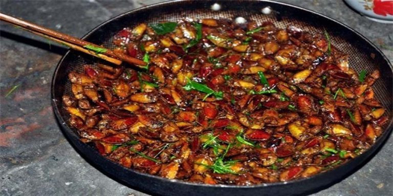 Khách khắp nơi đặt mua song số lượng bọ xít ít nên không đủ bán.