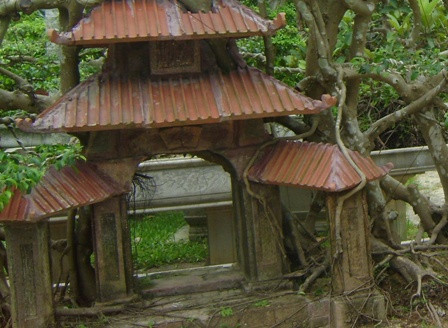 Trên tường, dưới nền khu phố cổ Hà Nội đều bị các rẽ cây đan chằng chịt. Ảnh: Dân Việt.