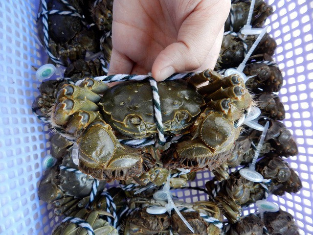 Cua lông Hong Kong giảm giá sâu tới 58%, chỉ còn 425.000 đồng/kg trong ngày Black Friday.