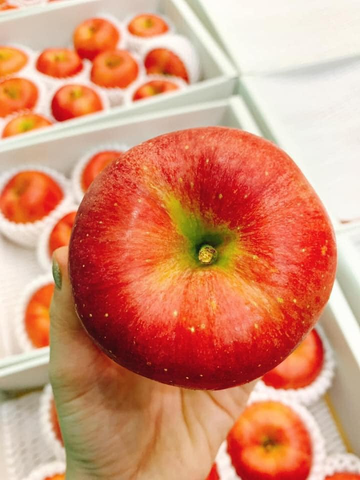 Đáng chú ý, trong số loại táo mật này còn có dòng táo mật Nhật Bản siêu vip giá lên tới hơn 4 triệu đồng/hộp. Ảnh: FB Phạm Hương HP.