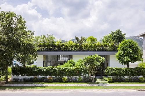 Nhìn từ mặt đường, căn nhà như được bao phủ hoàn toàn bởi cây xanh.