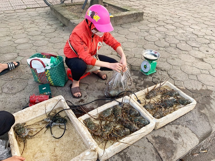 Khoảng đầu tháng 4 năm nay, tôm hùm lần đầu tiên được mang ra tận vỉa hè để bày bán. Ảnh: Dân Việt