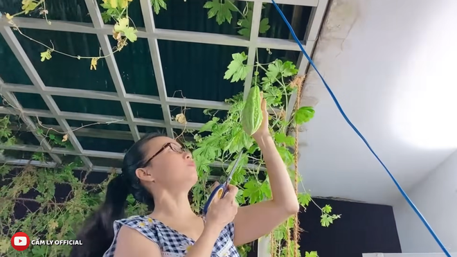 Trong căn biệt thự của mình, nữ ca sĩ dành hẳn khu sân thượng có diện tích vài trăm mét vuông để trồng cây.