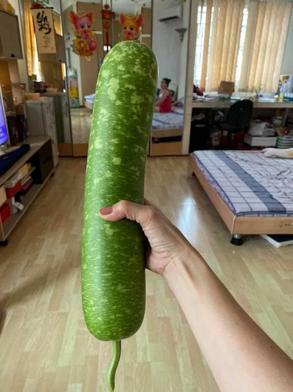 Thành quả thu hoạch rau quả trong vườn được Cẩm Ly chụp lại và khoe với fan.