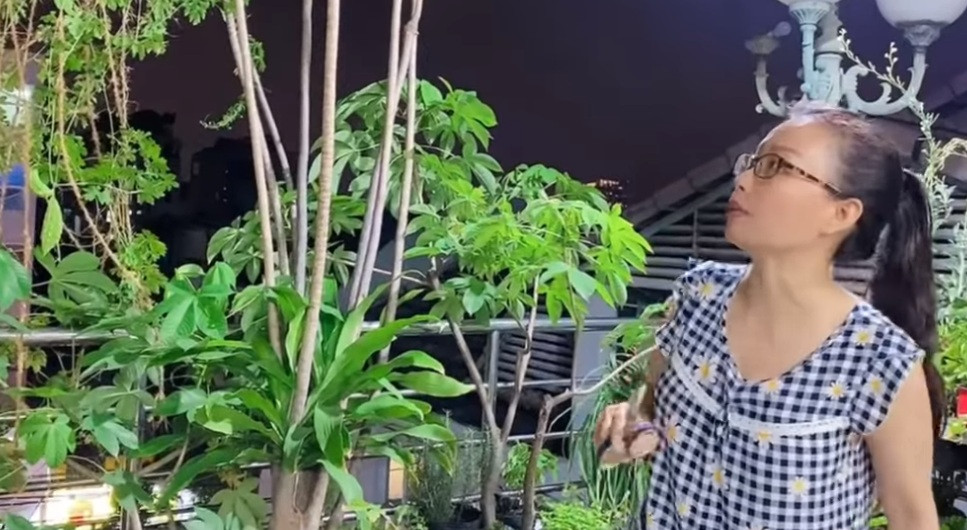 Mới đây, trên kênh Youtube của ca sĩ Cẩm Ly đăng tải một clip quay lại cảnh cô lên thăm vườn rau trên sân thượng ngôi biệt thự mình đang sống.
