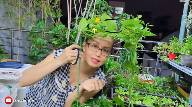 Để có được vườn rau xanh tốt như vậy, Cẩm Ly đã phải bỏ nhiều công tìm hiểu, nên am hiểu từ cách bón phân, chiết cây tới ươm cây, uốn cây, tỉa cây.