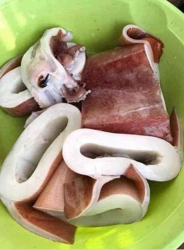 Chất lượng loại mực ma này cũng thua xa các loại mực khác như mực ống, mực nang, mực bạch tuộc.