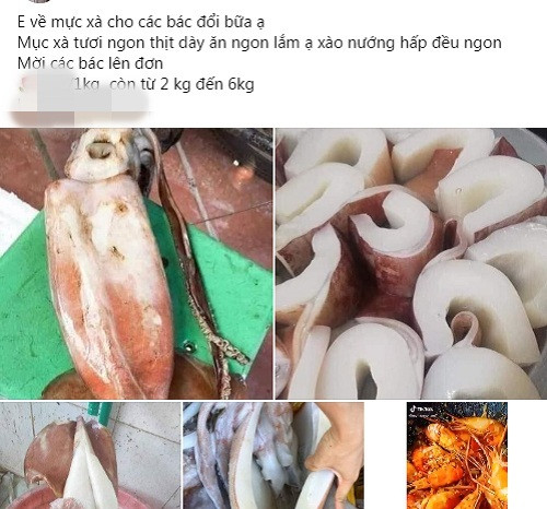 Gần đây, trên các chợ hải sản online và một số chợ dân sinh xuất hiện loại mực xà đại dương được rao bán rầm rộ với giá chỉ từ 55.000 – 95.000 đồng/kg, rẻ hơn rất nhiều loại hải sản hay các loại mực tươi đang bán trên thị trường.