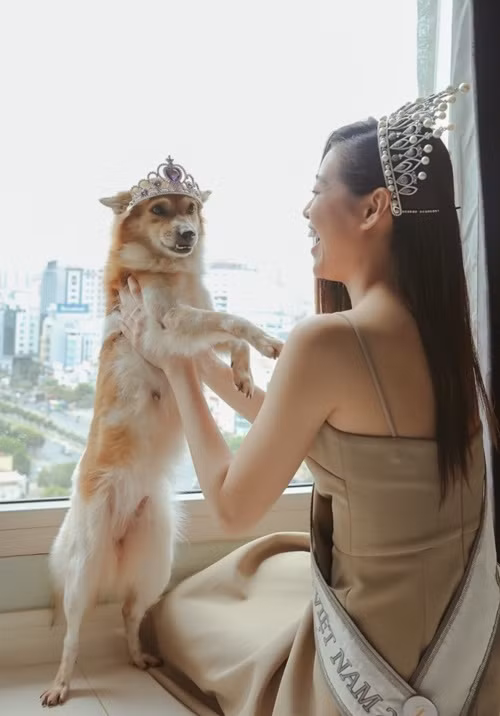 Căn hộ không có ban công, ngược lại có cửa kính lớn nhìn ra thành phố từ tầng 16. Ảnh: Ngoisao.