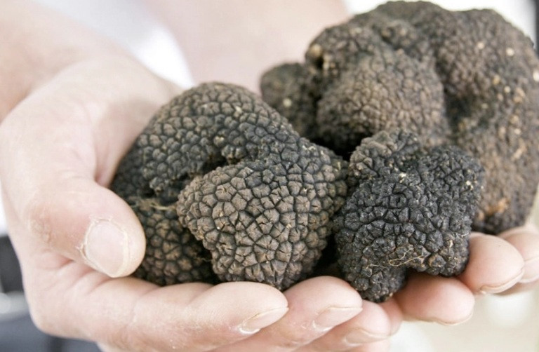 Trong khi đó, nấm Truffle đen giá khoảng từ 3.000 – 4.000 USD/kg (tương đương 70-90 triệu đồng/kg), tùy theo chất lượng sản phẩm.