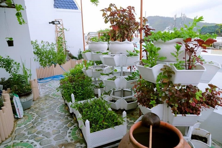 Đặc biệt, trong căn biệt thự ốp gỗ còn có một khu vườn xanh mướt ở tầng trên. Ảnh: Báo dân sinh.