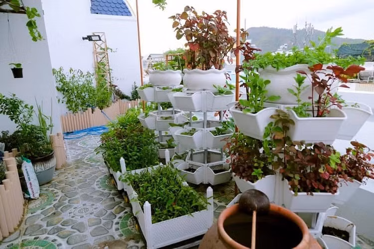 Đặc biệt, trong căn biệt thự ốp gỗ còn có một khu vườn xanh mướt ở tầng trên. Ảnh: Báo dân sinh.