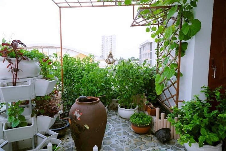 Khoảng xanh vừa giúp không gian thêm trong lành vừa cung cấp rau sạch cho gia đình. Ảnh: Báo dân sinh.