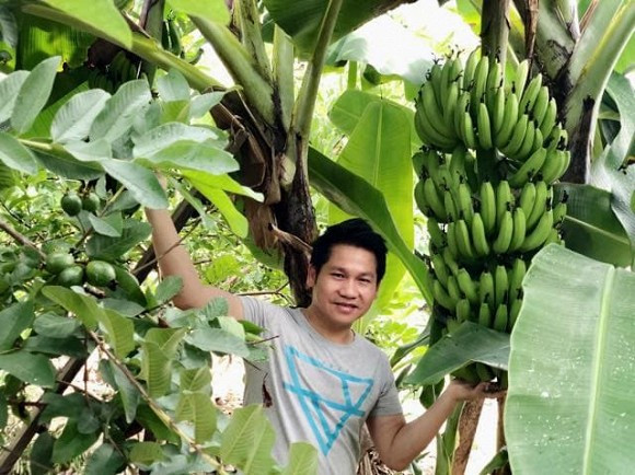 Đủ các loại trái cây sai trĩu cành. Ảnh: Công lý &amp; xã hội.