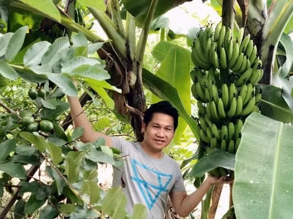 Đủ các loại trái cây sai trĩu cành. Ảnh: Công lý &amp; xã hội.